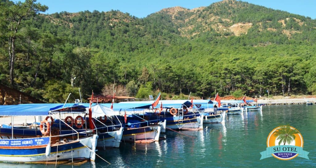 Doğa manzarası