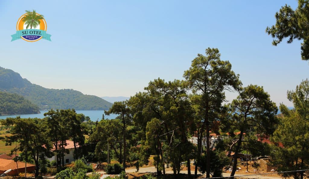 Deniz kıyısı